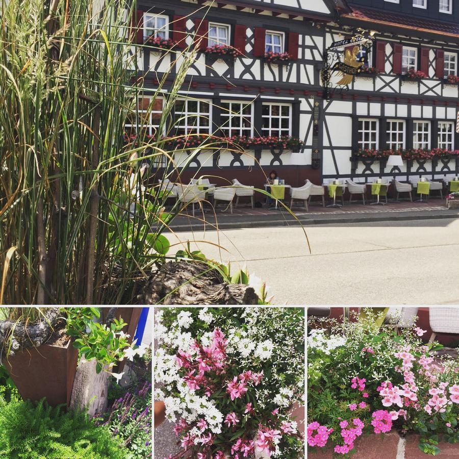 Hotel Restaurant Der Engel, Sasbachwalden Εξωτερικό φωτογραφία
